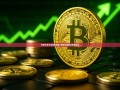 美股交易手续费的奥秘-美股交易手续费是多少