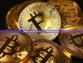 探索www.wahaha.com.cn——一个充满活力的在线社区-