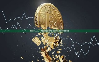 探索ZB.com，一个创新的区块链平台-ZBCOM-300IE设置教程