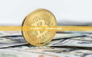 什么是BSC？-什么是bsci认证