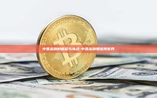 中国金融的崛起与挑战-中国金融期货所官网