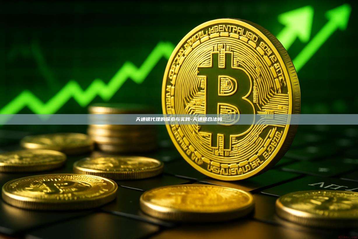 天通银代理的探索与实践-天通银合法吗-第1张图片-币安电脑下载