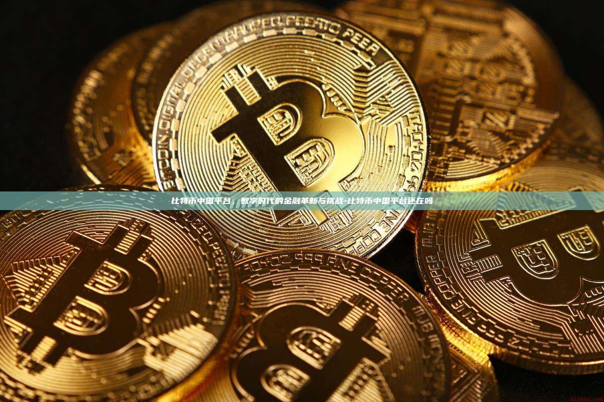 比特币中国平台，数字时代的金融革新与挑战-比特币中国平台还在吗-第1张图片-币安电脑下载