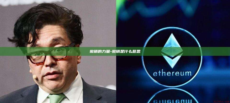 撤销的力量-撤销是什么意思-第1张图片-币安电脑下载